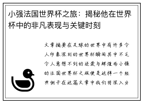 小强法国世界杯之旅：揭秘他在世界杯中的非凡表现与关键时刻